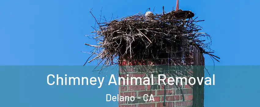 Chimney Animal Removal Delano - CA
