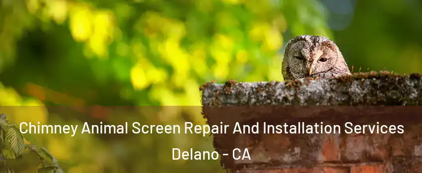 Chimney Animal Screen Repair And Installation Services Delano - CA