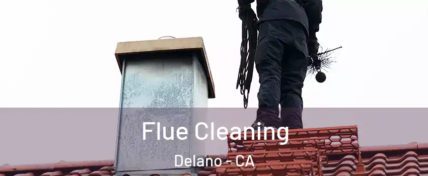  Flue Cleaning Delano - CA
