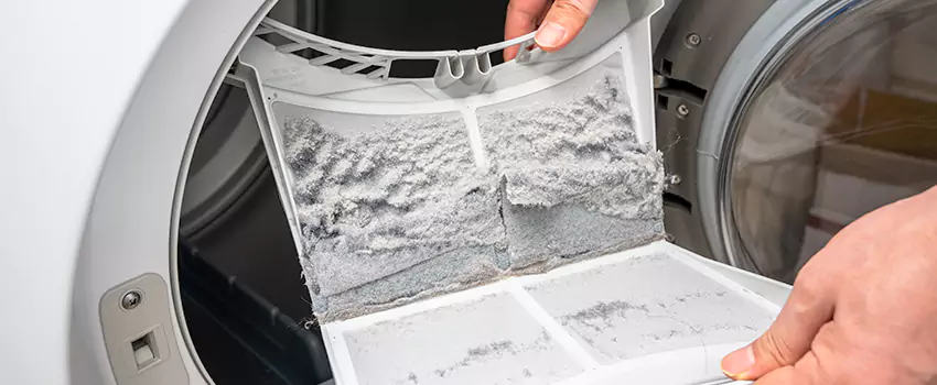 Best Dryer Lint Removal Company in Delano, California