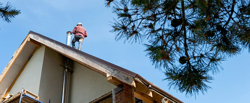 Birds Removal Contractors from Chimney in Delano, CA