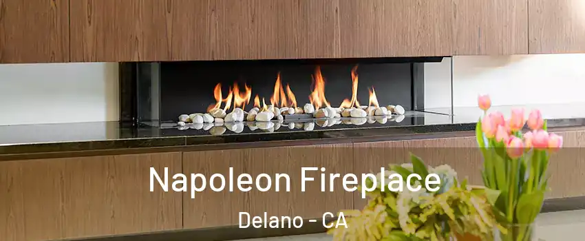  Napoleon Fireplace Delano - CA